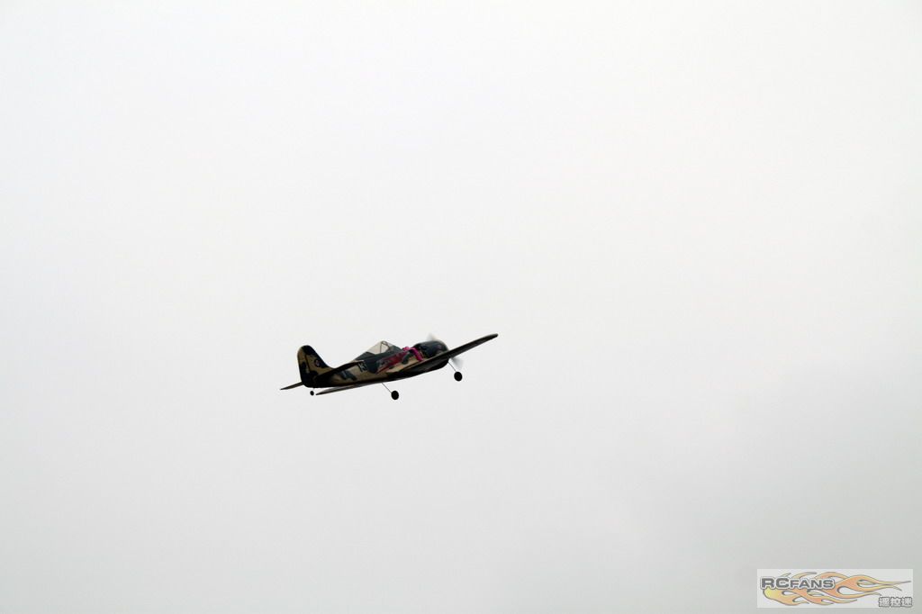 IMG_4726.jpg