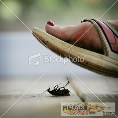 stock-photo-9875031-foot-stepping-on-roach.jpg