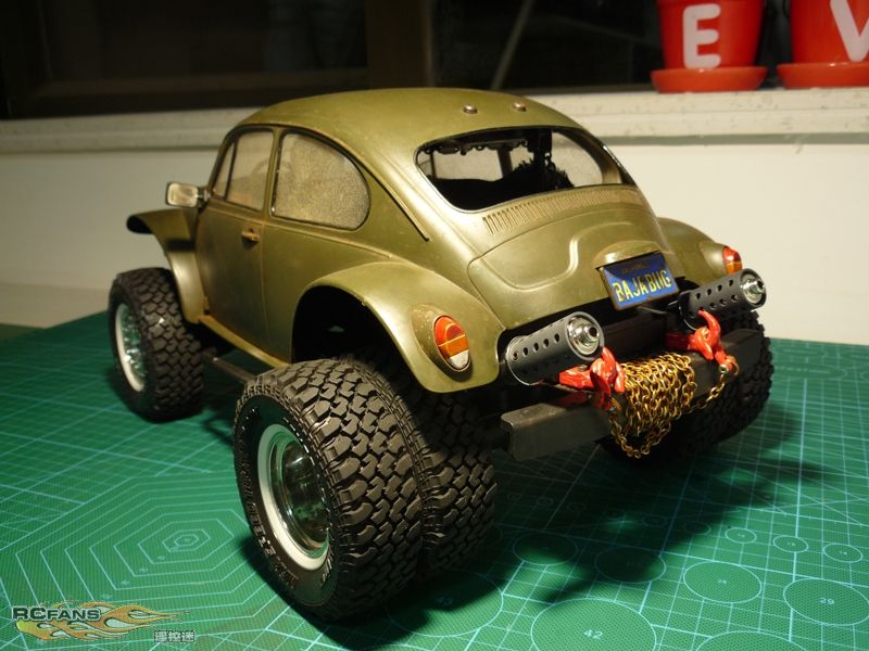 punk beetle72.jpg