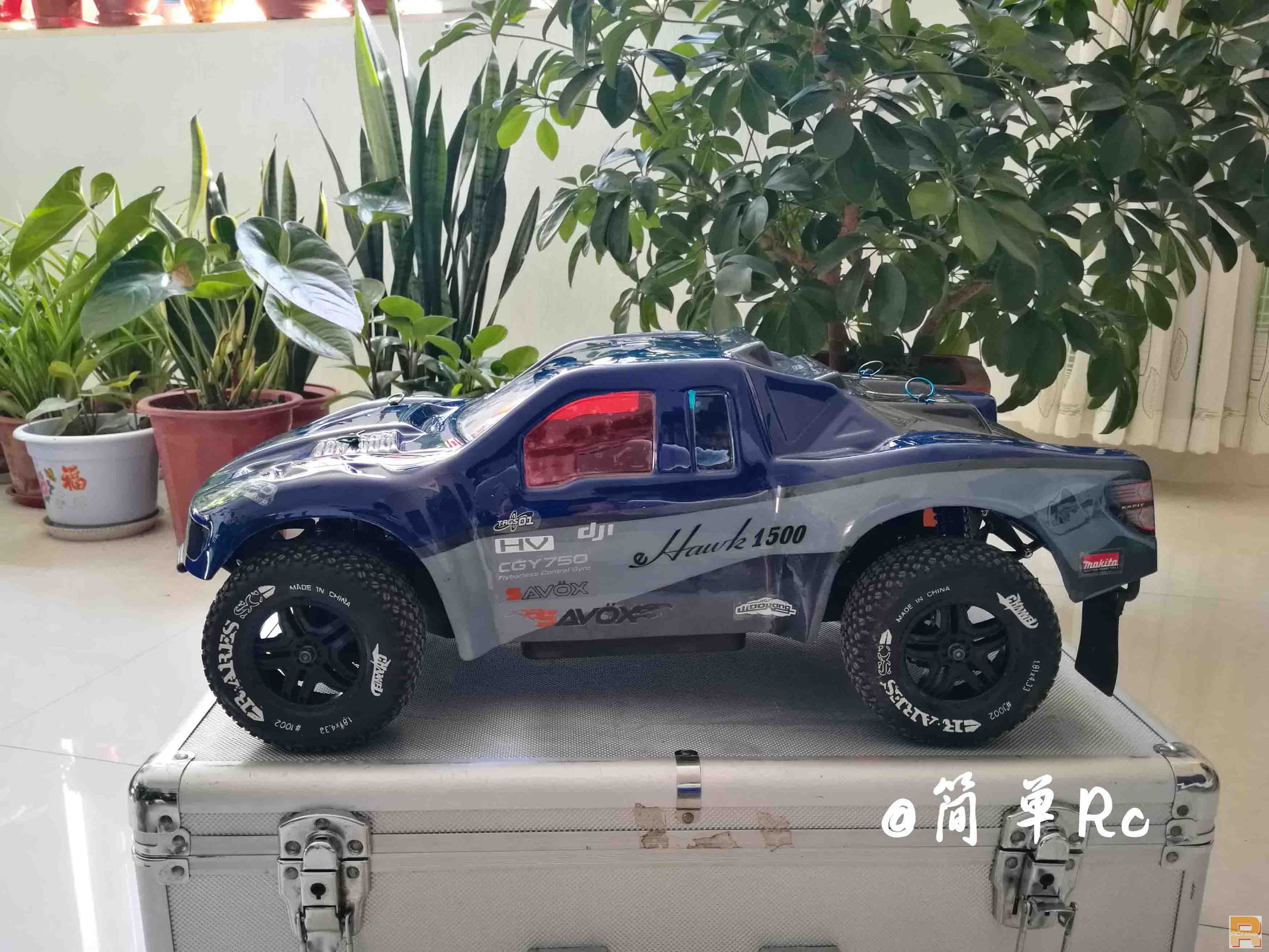 LOSI 1 (7).jpg