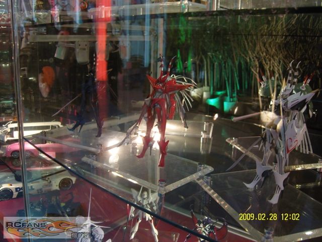 SNV80235.JPG