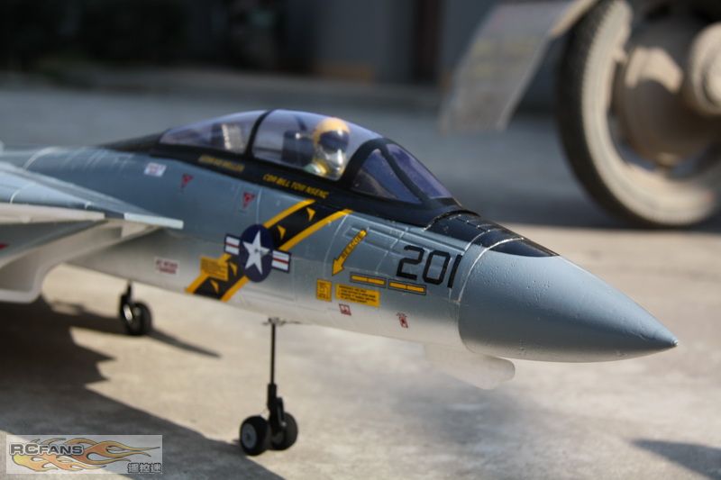 F14 2.jpg