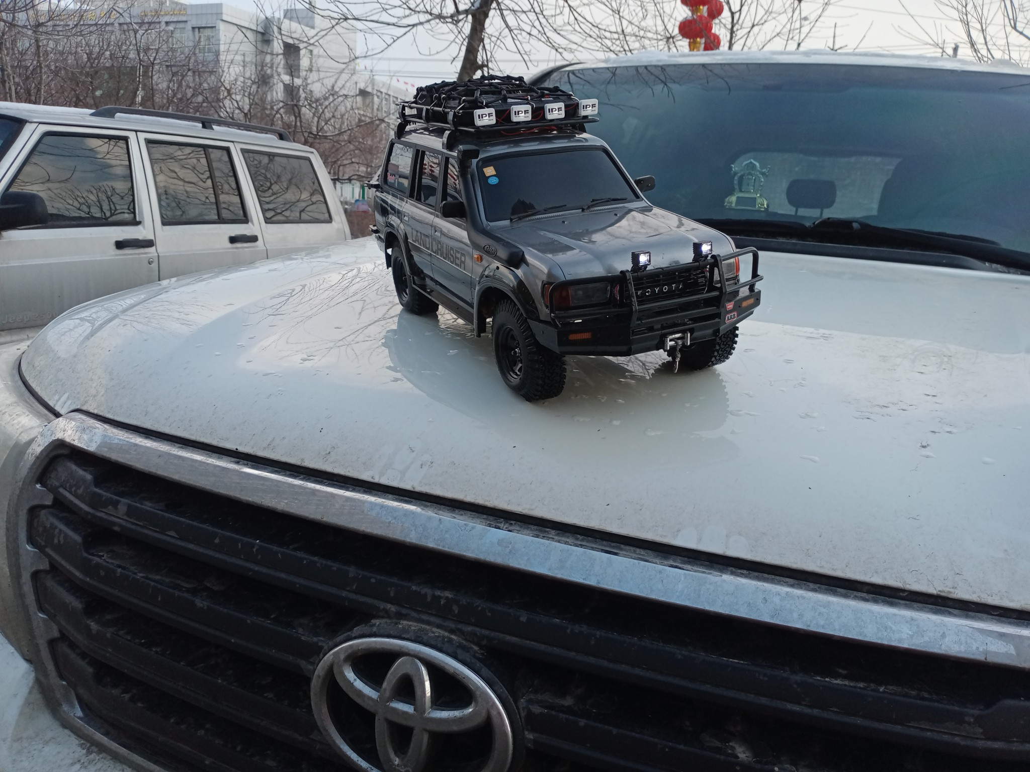 land cruiser lc80