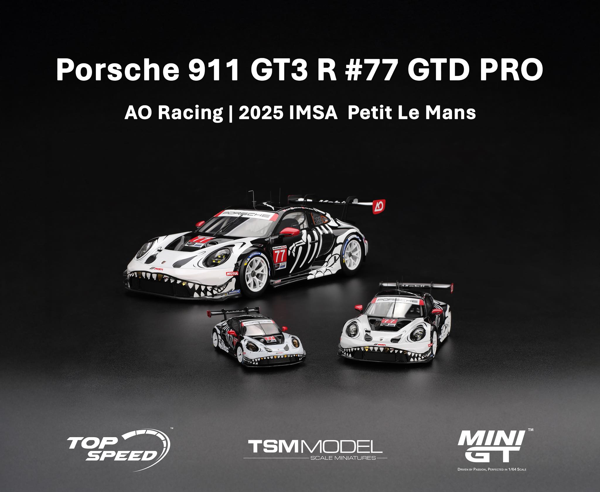 AO Racing ���ñ��� ģ��ͼ1