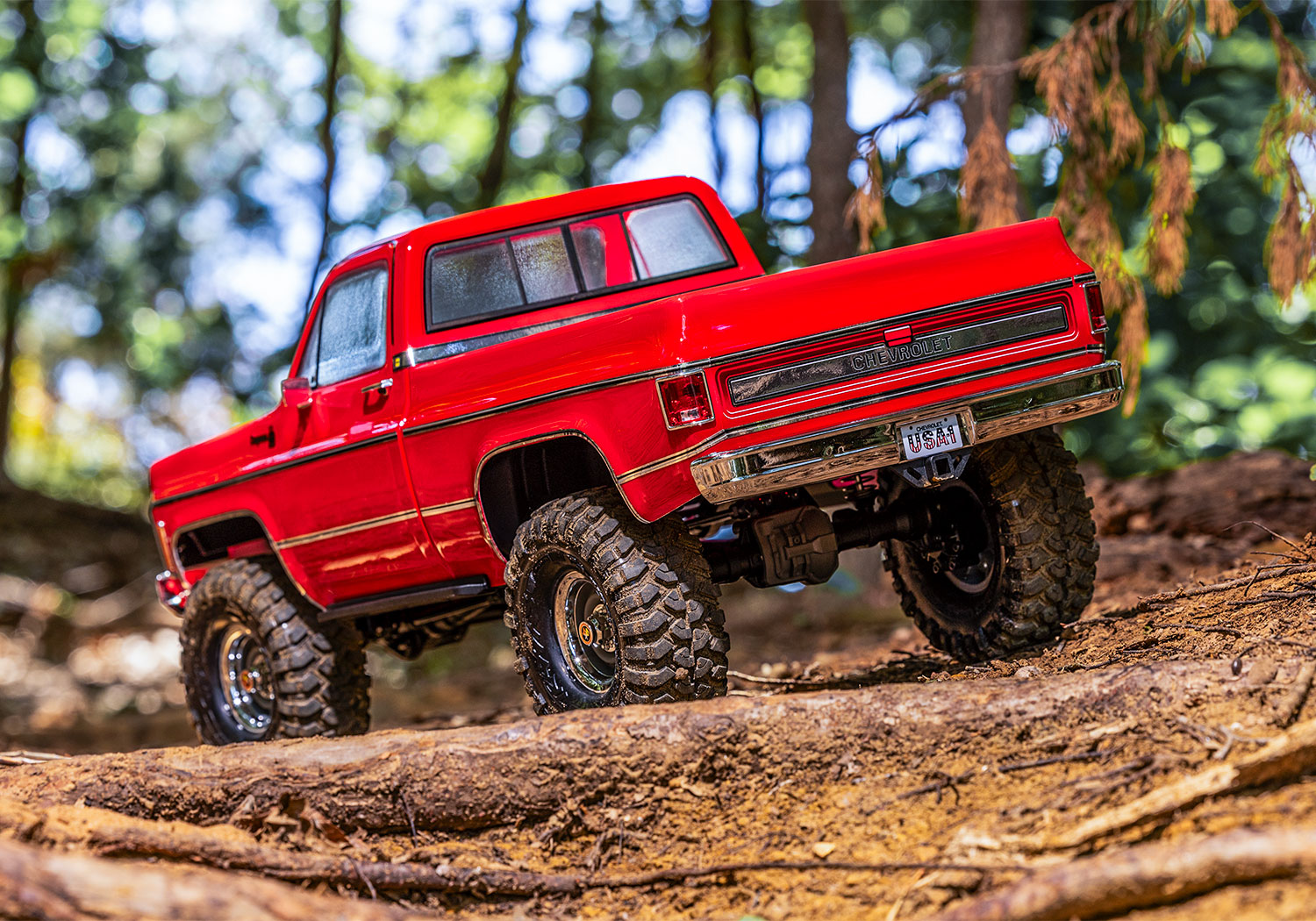 Traxxas TRX-4 Ford F-150 ����ϸ��