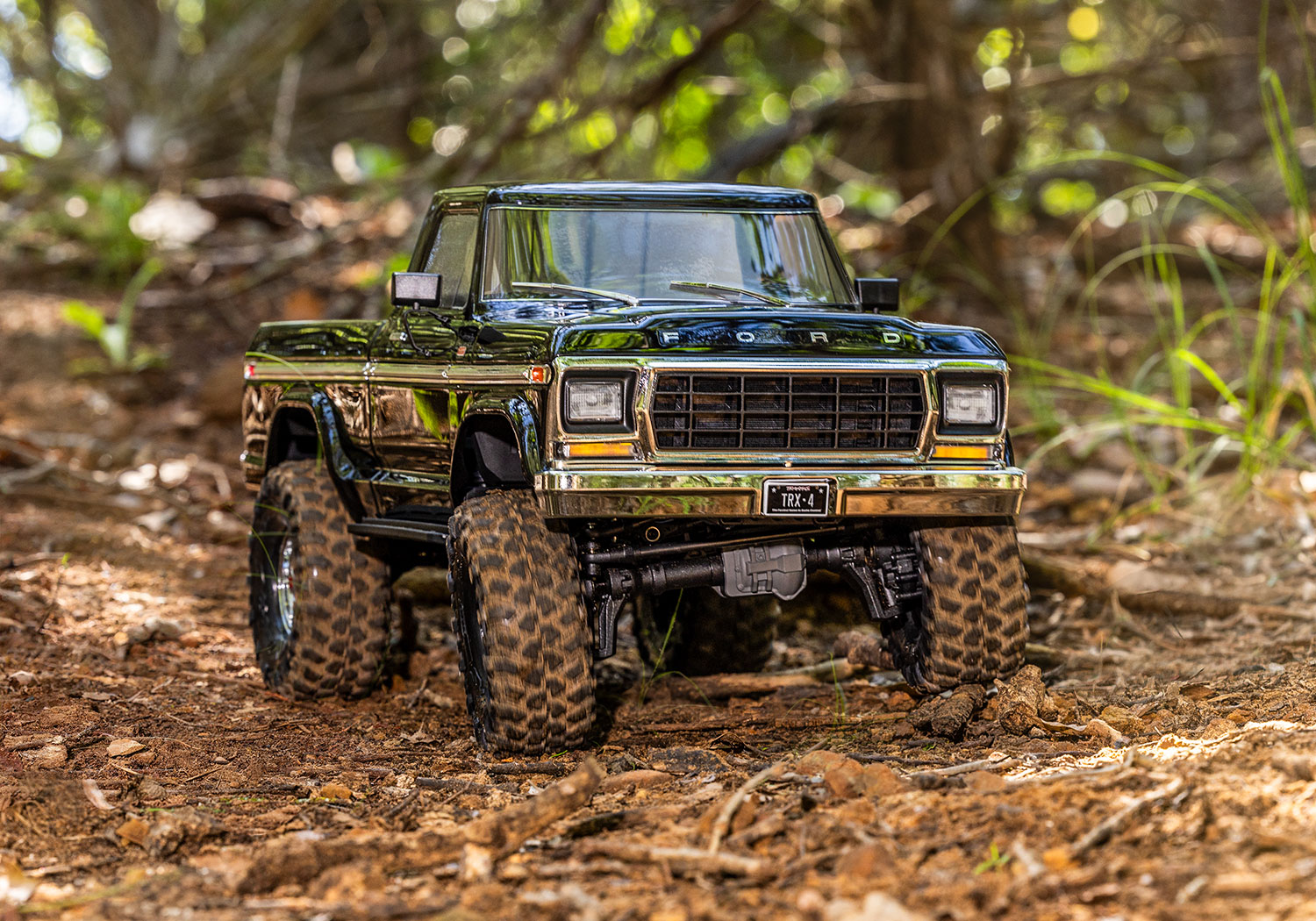 Traxxas TRX-4 Canyon Trail ��̥