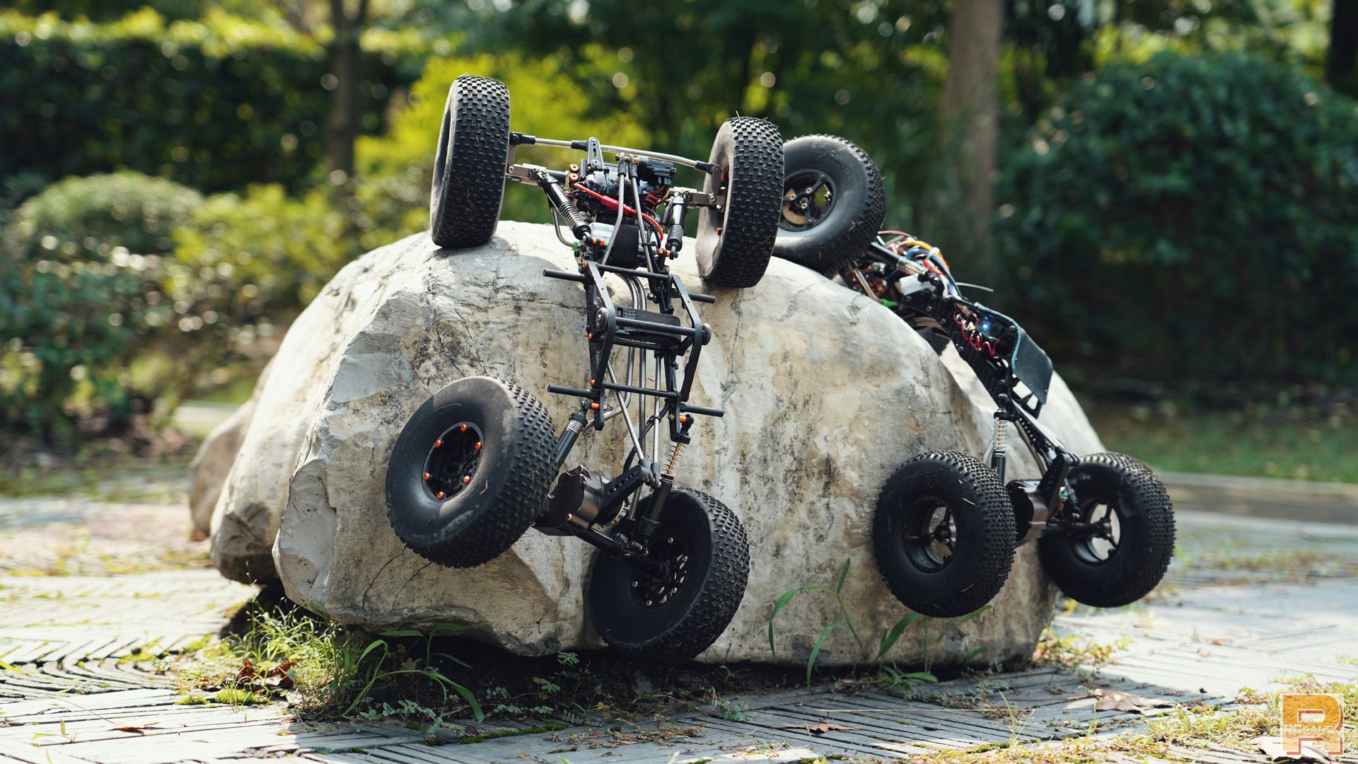 强爬不是没朋友,上海两台w2首次约车