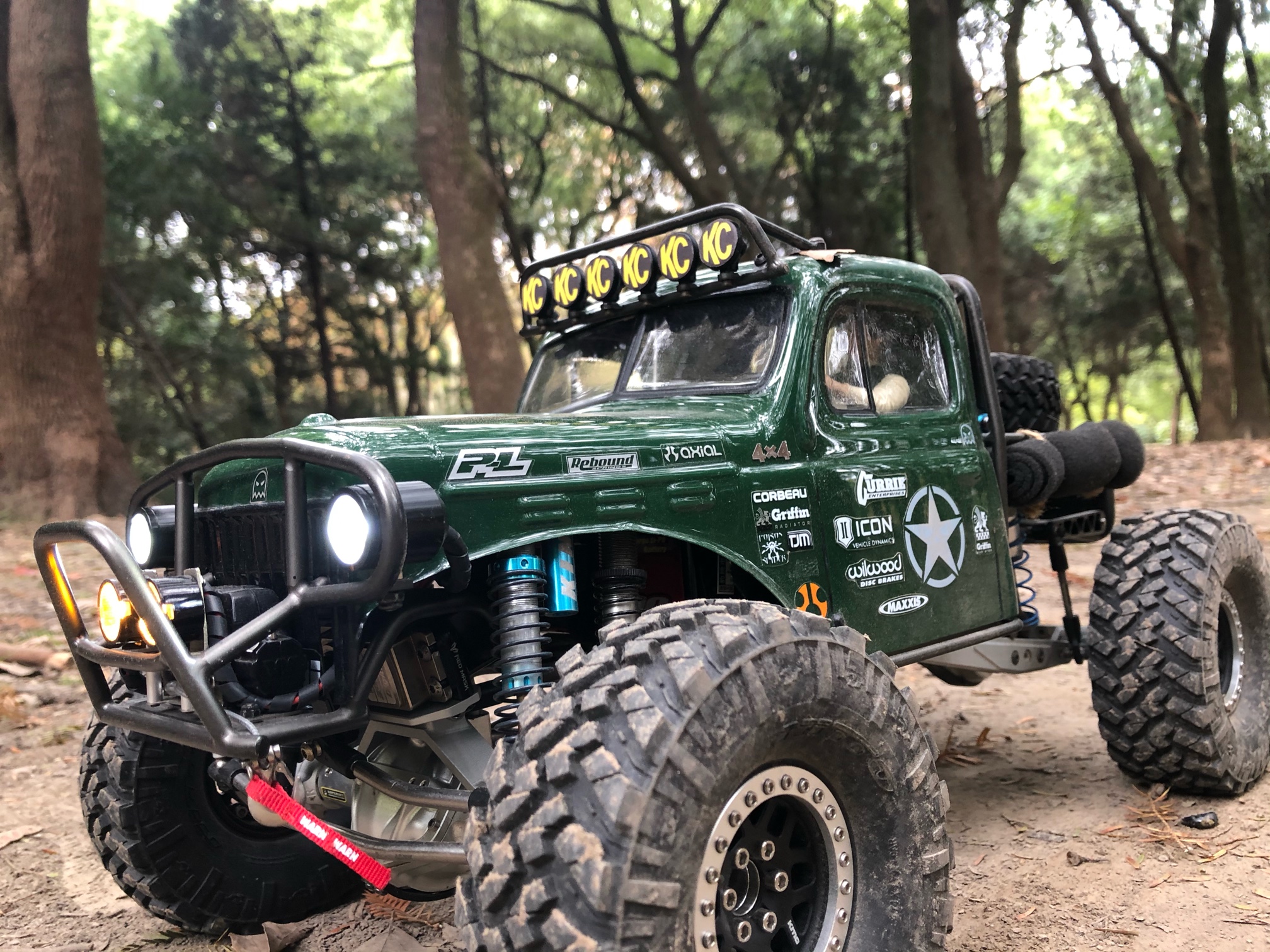 绿豆蝇森林穿越撒欢儿视频