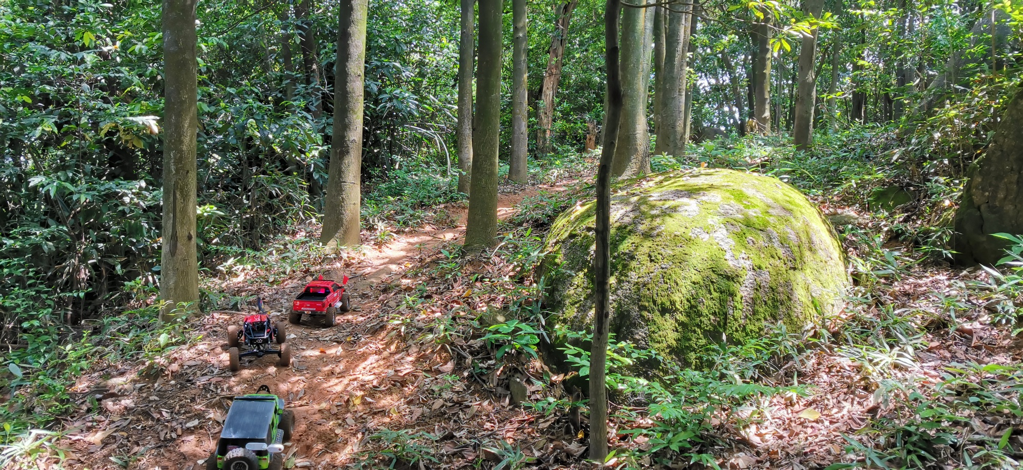 增城陈家林风景区徒步图片